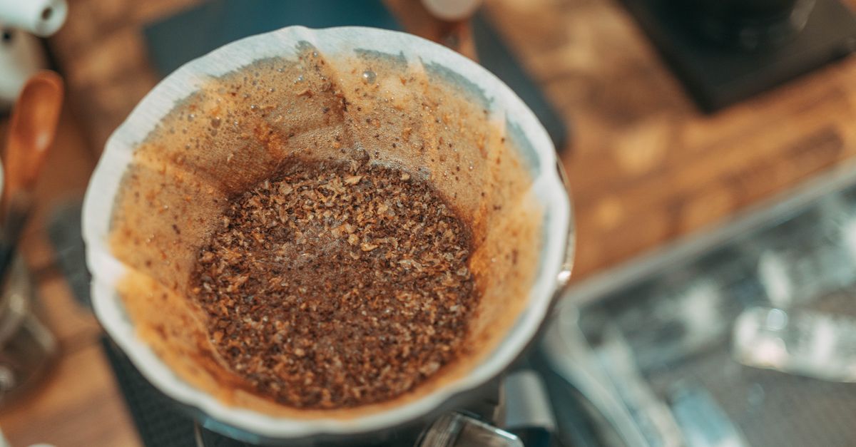AeroPress Coffee Maker UK: The Complete Range Guide for 2026