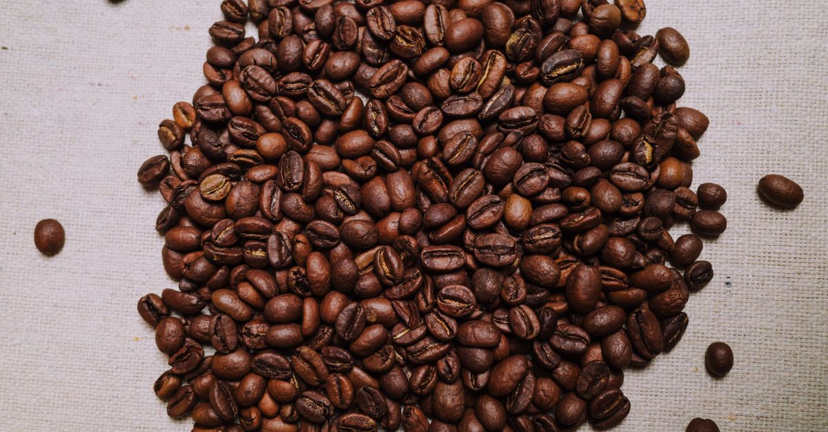 Light vs Dark Roast Coffee UK: Which Roast Should You Buy in 2026?
